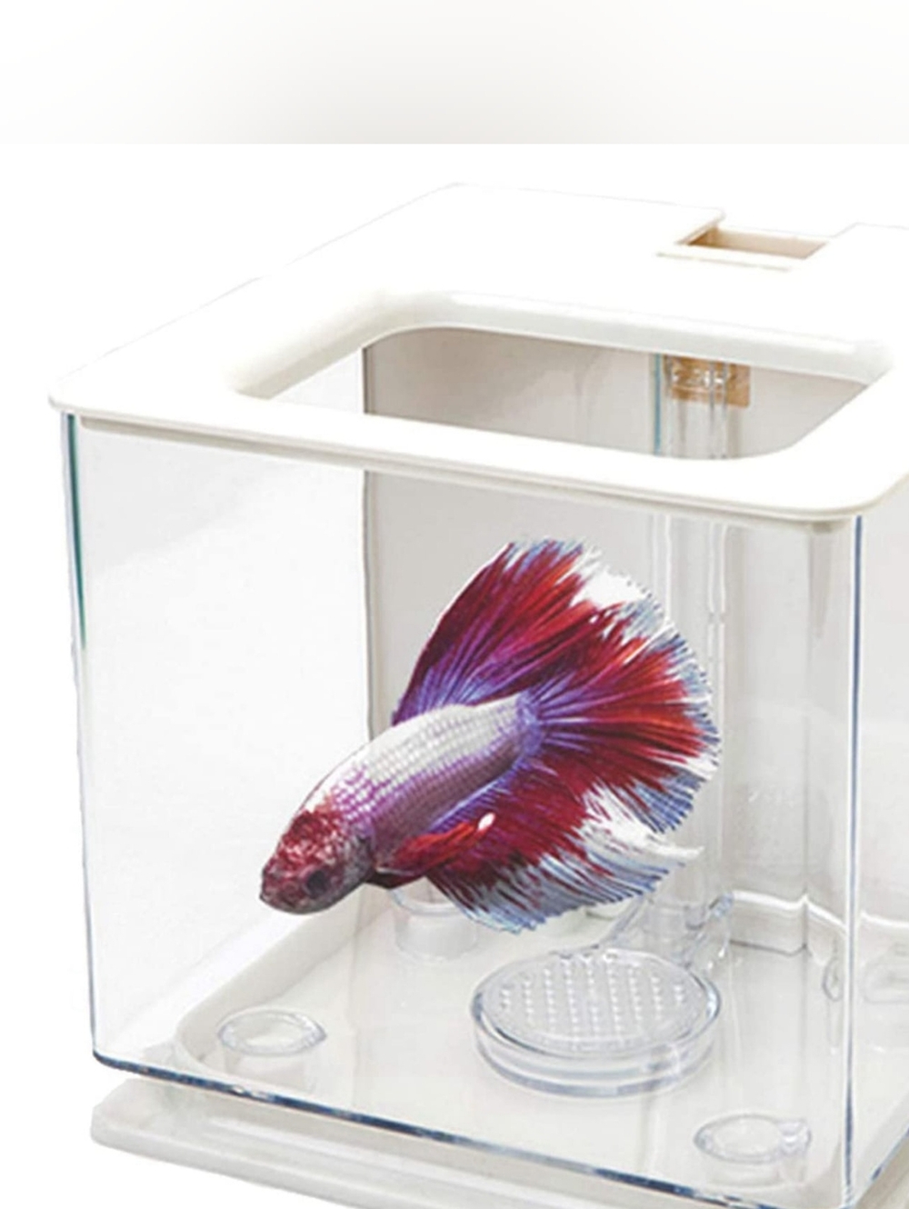 Betta Fish Tank 0.7 GAL
